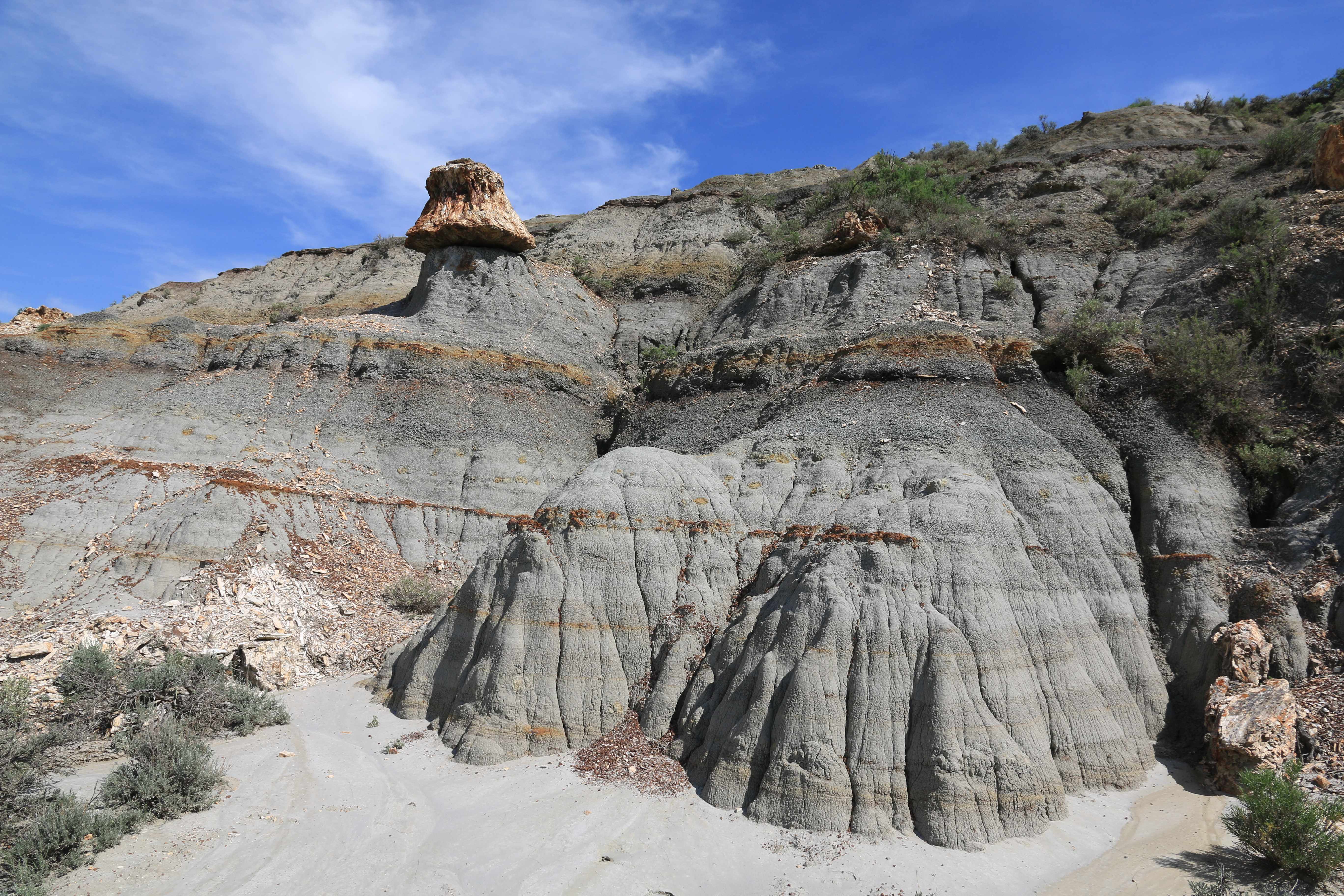 Theodore Roosevelt NP